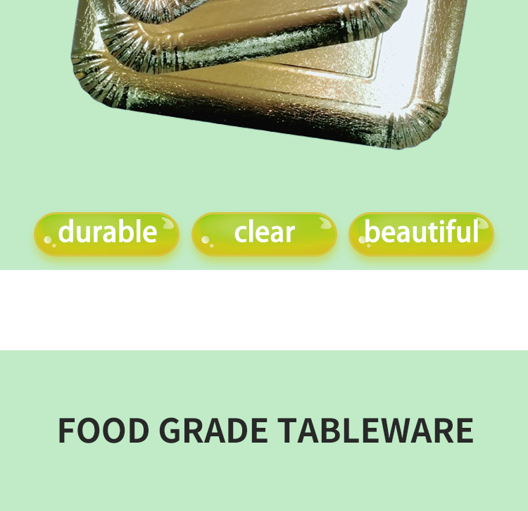 paper-plates-done_02.jpg